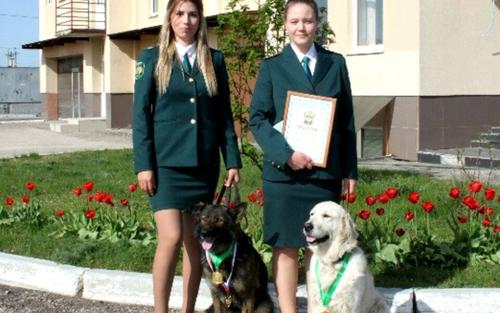 Кинологи Татарстанской таможни стали лучшими в Приволжском округе
