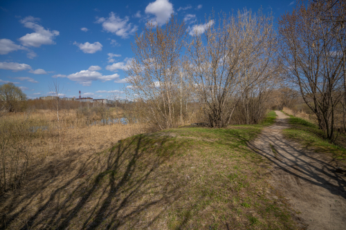 В Татарстане сохранится теплая погода с крепким порывистым ветром