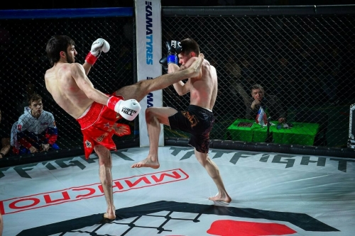 В Нижнекамске прошел турнир Международной профессиональной бойцовской лиги «Татфайт»