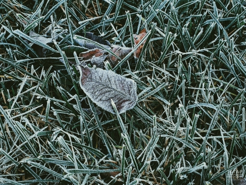 В Татарстане ожидаются заморозки и порывистый ветер