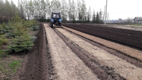 Лесники Татарстана выполнили половину годового плана по посеву семян в питомниках