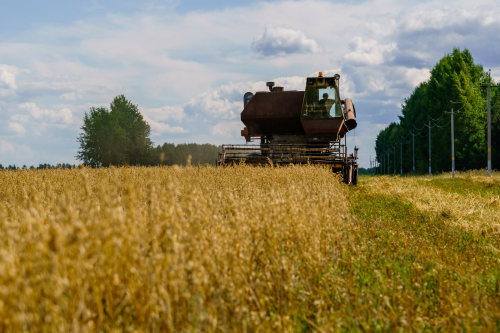 Татарстан на 14,7 млрд рублей увеличит затраты на развитие сельского хозяйства