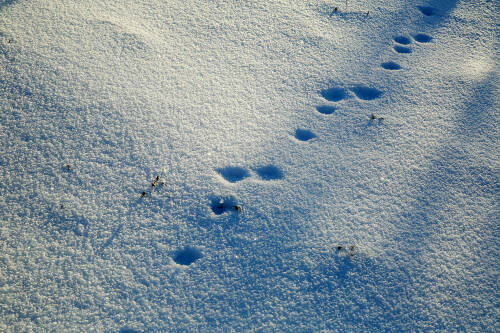 В Татарстане температура поднимется выше 0 градусов, но ожидаются небольшие осадки