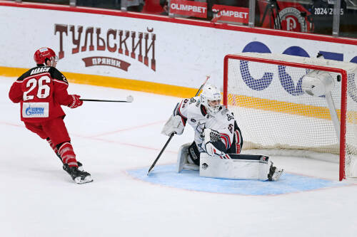 «Нефтехимик» сегодня сыграет с «Витязем» на своем льду