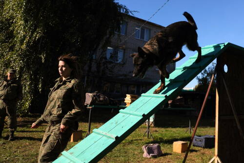 Поиск оружия и служба на границах России: как работают кинологи таможни в Татарстане