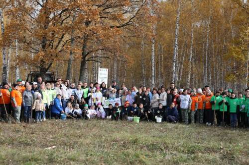 «Лес для будущих поколений»: в Бугульминском районе посадили 7 тыс. лиственниц