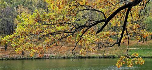 Синоптик Ильин: «Наиболее холодная ночь на этой неделе в РТ ожидается в пятницу»