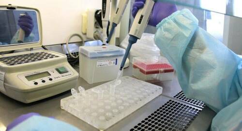 Специалисты Татарстана обнаружили пестицид в ячмене нового урожая