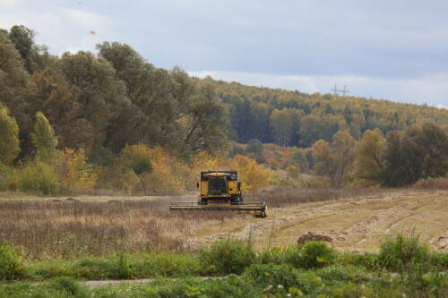 В Татарстане урожай этого года осталось убрать с 185 тыс. гектаров