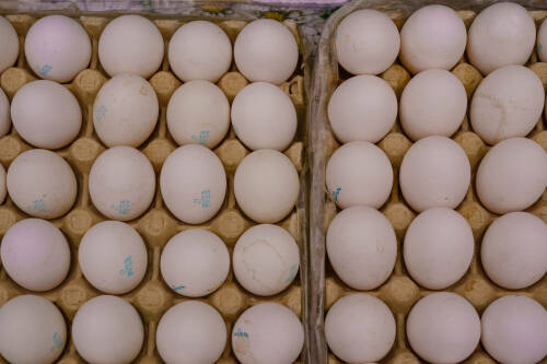 В Татарстане за неделю сильнее всего подорожали яйца и помидоры