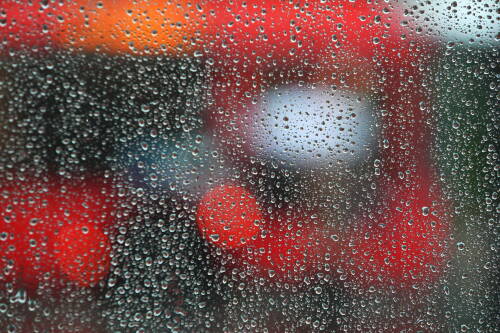 Дожди, туманы и сильный ветер прогнозируют в Татарстане до начала ноября