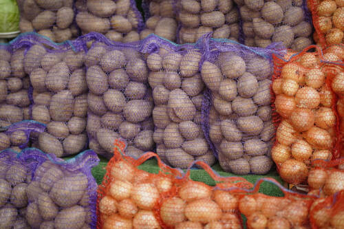 Минсельхоз РФ не ожидает значимого роста цен на картофель