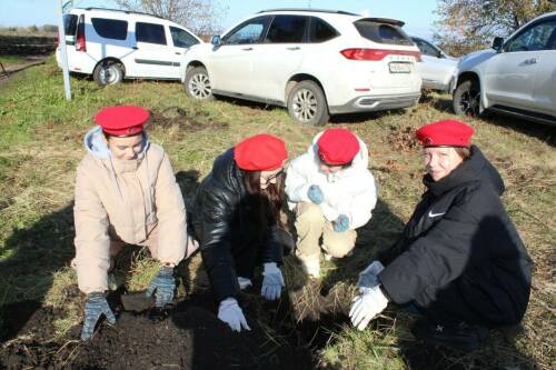 «Каждое дерево – имя героя»: заинцы высадили голубые ели в память о земляках-воинах СВО