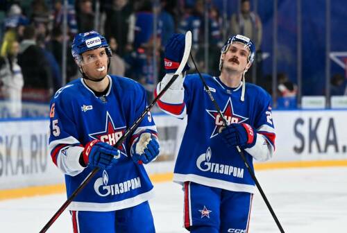 Евгений Артюхин раскритиковал трансферы СКА