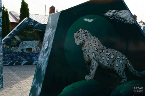 Победители творческого конкурса «Снежный барс» посетят Республику Алтай