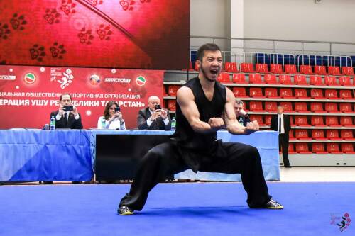 В Казани прошел Республиканский турнир по ушу «Восточный барс»