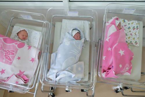 Депутат Федоров предложил компенсировать молодым родителям затраты на ребенка и жилье