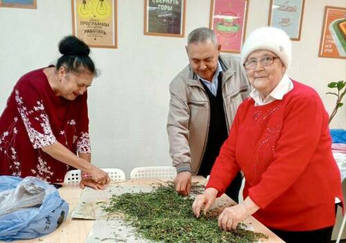 «Чай с ароматом дома»: нижнекамцы собирают травы для бойцов СВО