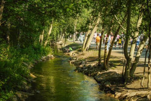 В РТ на работы по нацпроекту «Экологическое благополучие» выделили более 0,5 млрд рублей