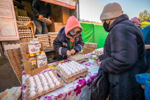 Татарстанцы за 12 ярмарочных дней приобрели сельхозпродукцию на 1,1 млрд рублей