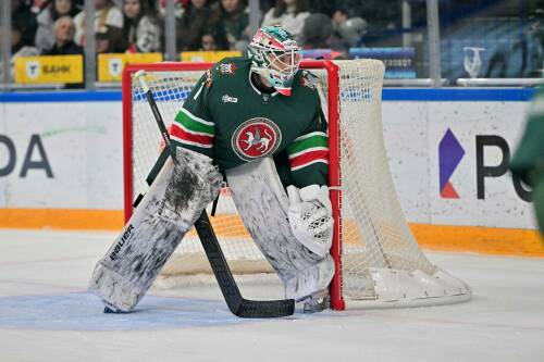 Вратарем «Ак Барса» Бердиным интересуются несколько клубов КХЛ