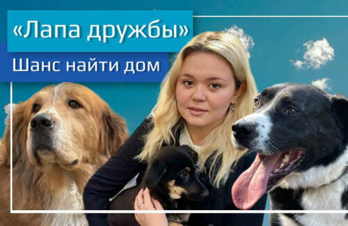 Видеокорреспондент «Татар-информа» стала победителем конкурса среди СМИ «Добро в эфире»