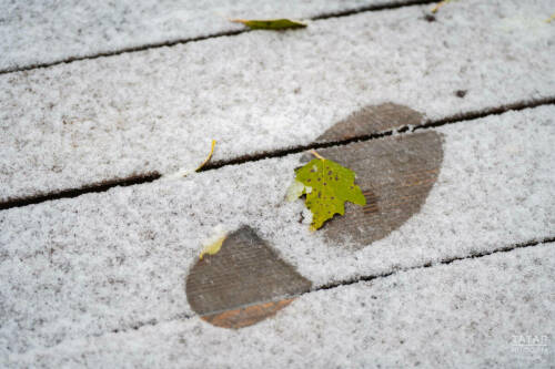 15 декабря в Татарстане будет от -9 до -14, а также небольшой и умеренный снег