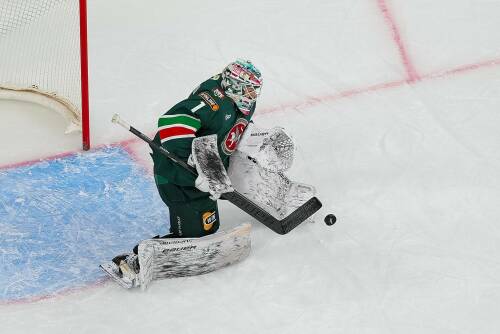 Михаил Бердин покинул «Ак Барс»