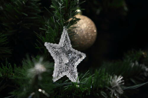 Депутат Делягин предложил отменить штрафы за украшение подъездов к Новому году