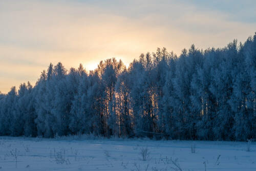Синоптик Шувалов: «Резкое похолодание до -30 градусов придет в Татарстан на этой неделе»