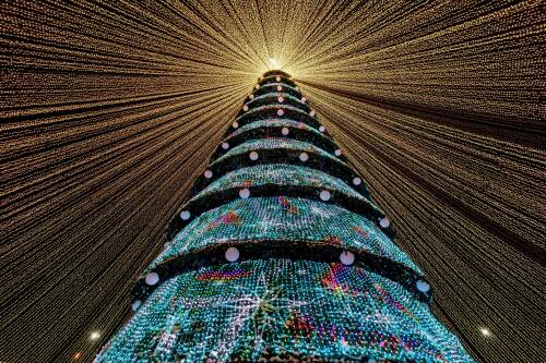 Волшебство началось: в Казани зажгли огни на центральной елке у «Чаши»