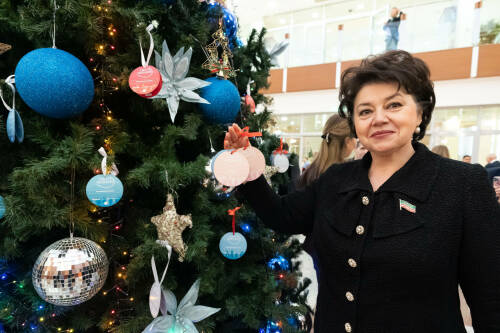 Депутаты Госсовета РТ присоединились к благотворительной акции «Ёлка желаний»