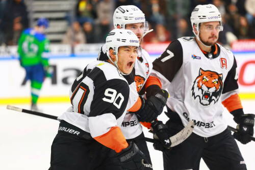 «Салават Юлаев» проведет встречу с «Амуром» в чемпионате КХЛ