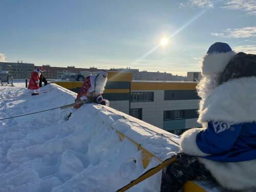 Деды Морозы и Чебурашка спустились с крыши к детям в больнице Челнов
