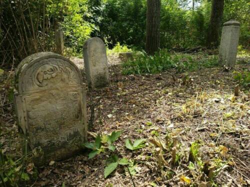 В Елабуге утвержден перспективный план благоустройства Старого татарского кладбища