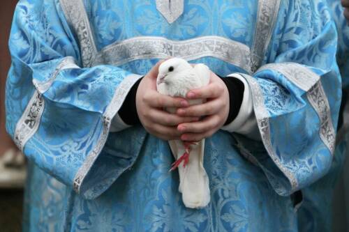 В какой момент она появляется в человеке и сколько весит: батюшка о том, что такое душа