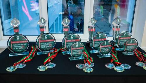 В Нижнекамском районе проходит чемпионат по нардам, организованный Айдаром Метшиным