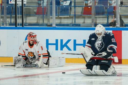 «Нефтехимик» проиграл «Амуру» в овертайме