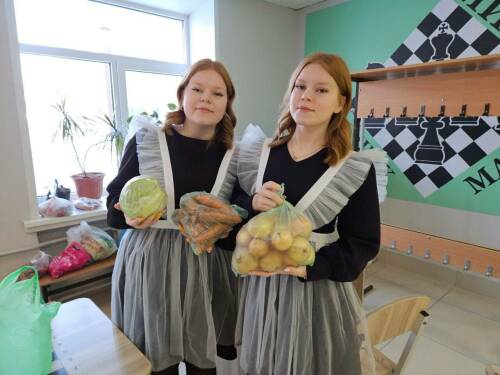 Жители Лаишево завершили сбор овощей для бойцов в зоне СВО