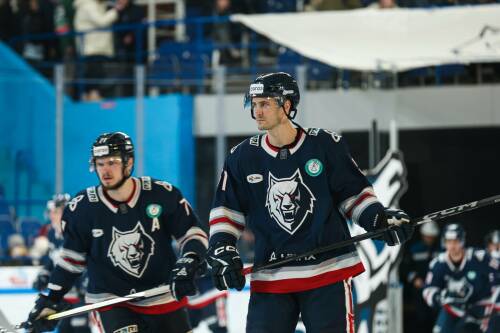 «Нефтехимик» не сыграет в плей-офф КХЛ текущего сезона