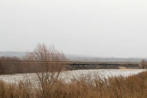 Начало марта в Татарстане окажется на два градуса теплее нормы