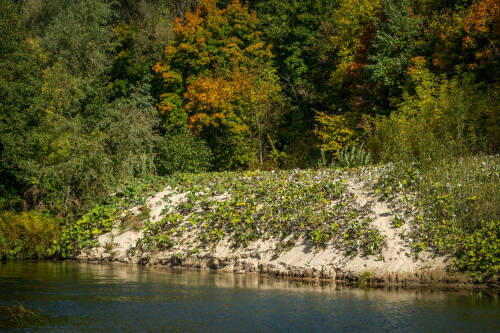Экологи РТ проверят санитарное состояние водоохранных зон