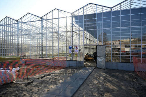 Новые теплицы казанского «Горводзеленхоза» позволят выращивать в 2,5 раза больше цветов