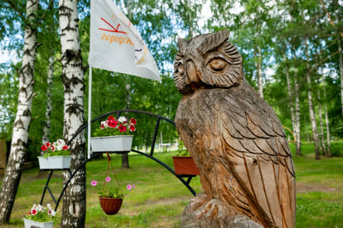 Юрист рассказал об изменениях в формате работы детских лагерей