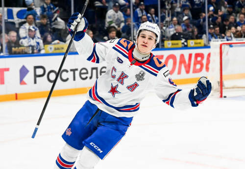 Монреальская рок-звезда Демидов и экстаз в «Каролине» от Никишина: что ждет россиян в НХЛ