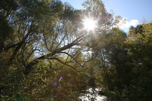В Татарстане в понедельник не ожидается осадков