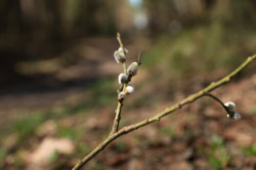 Татарстан ждет переменная погода: дождь ночью и жаркие 25˚ днем