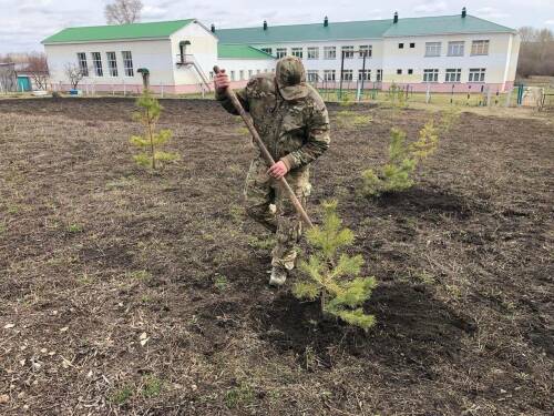 В Новошешминском районе заложили Аллею славы в честь участников СВО