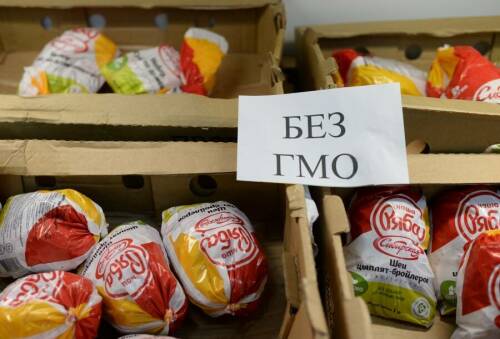 «Случаев мутаций нет, но отдаленные последствия непонятны»: ГМО – миф или скрытая угроза?