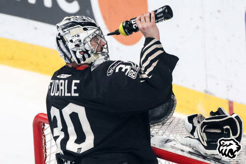 «Трактор» и «Динамо» проведут сегодня первый матч полуфинальной серии